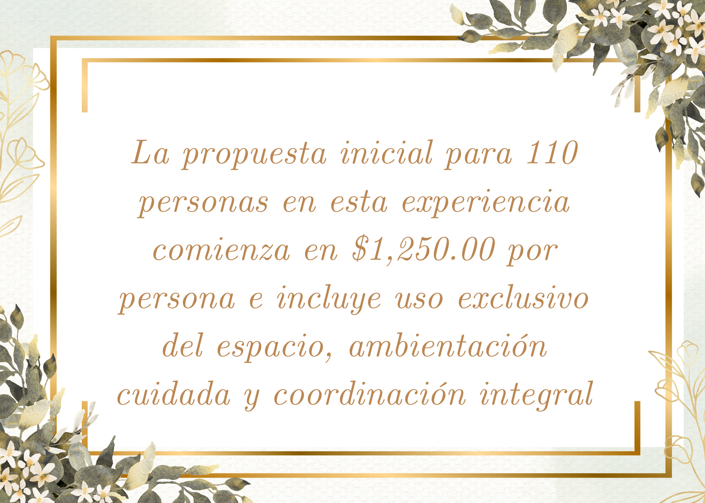 Taquiza de guisados con montaje lounge