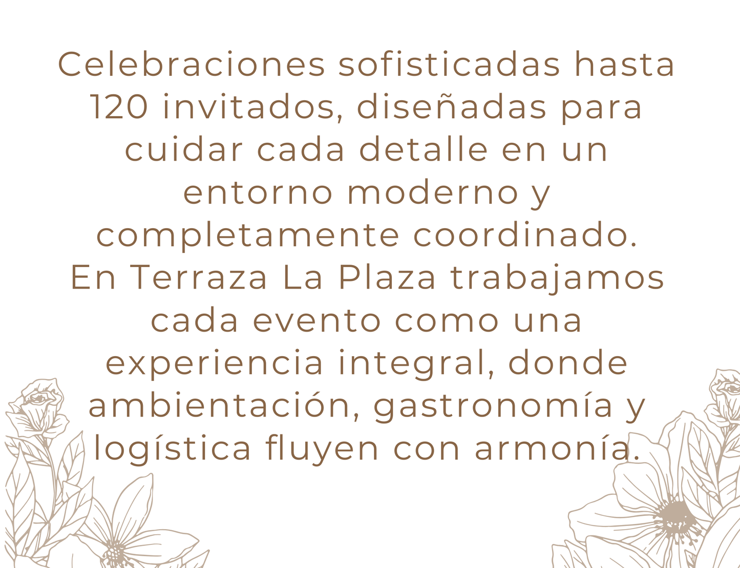 Barra de pastas y ensaladas con montaje lounge