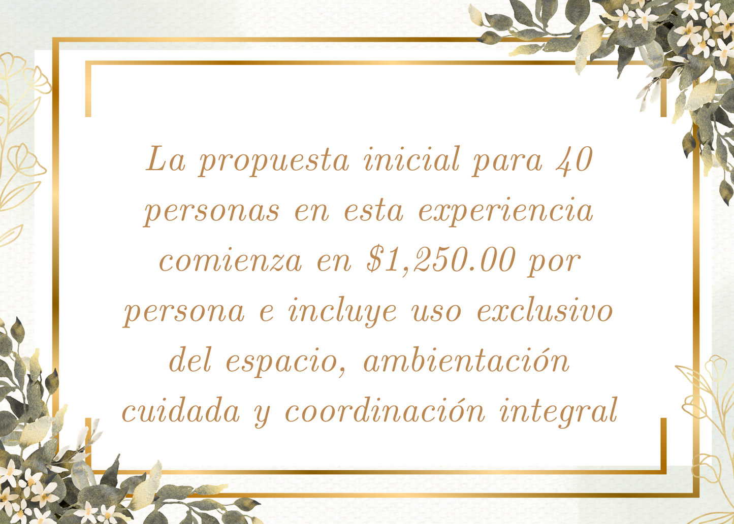 Taquiza de guisados con montaje lounge