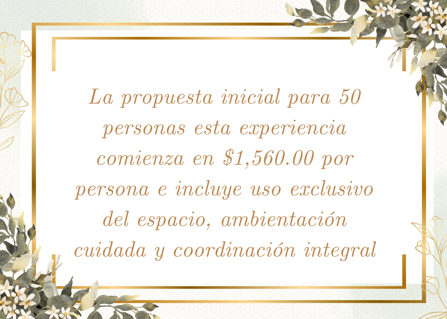 Barra de pizzas gourmet con montaje lounge